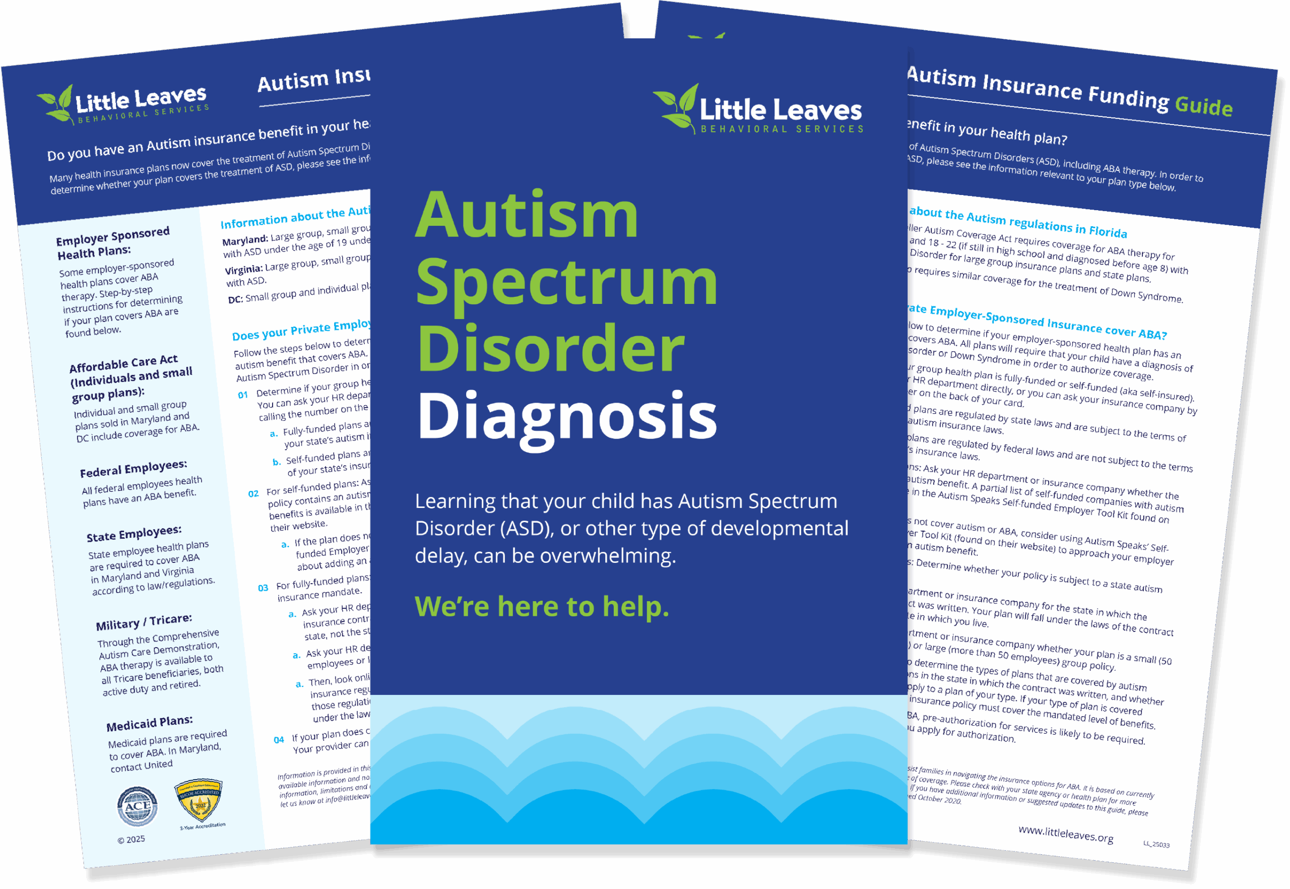 Autism Spectrum Disorder Diagnosis PDFs
